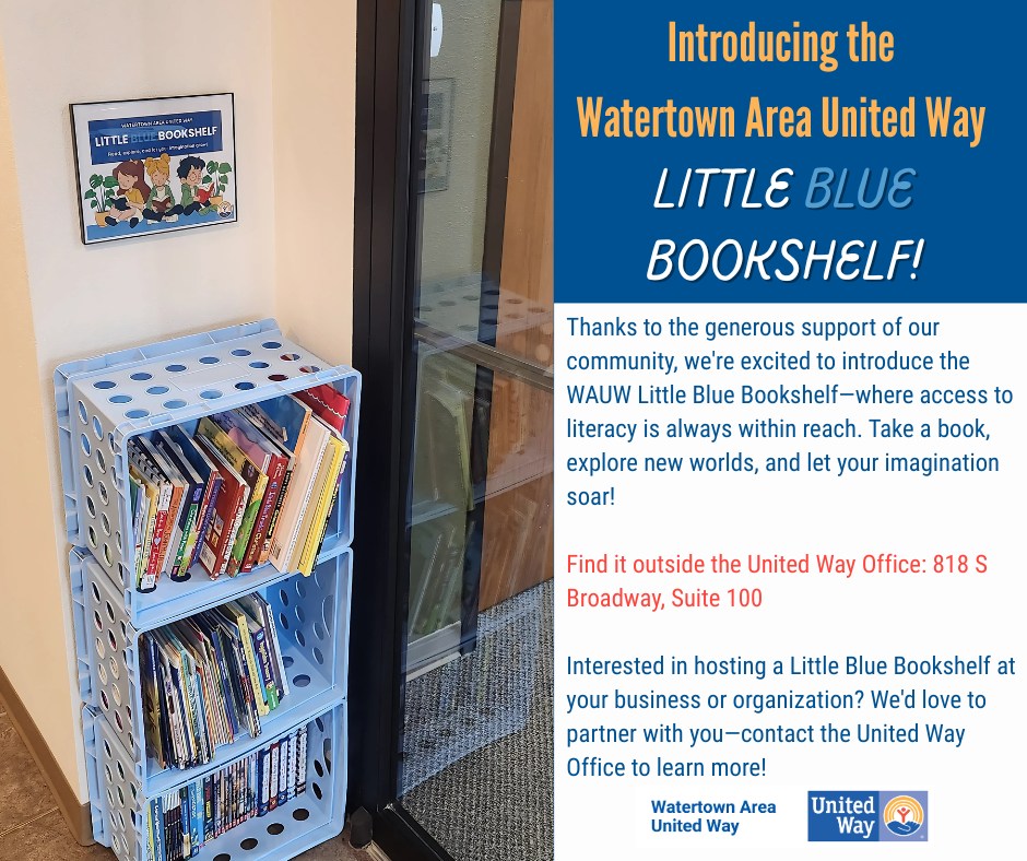 Blue Bookshelf